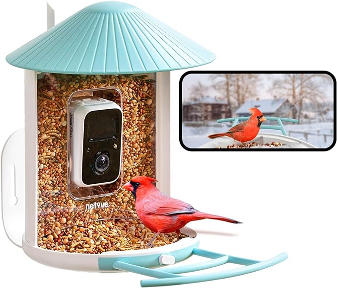 Bird feeder