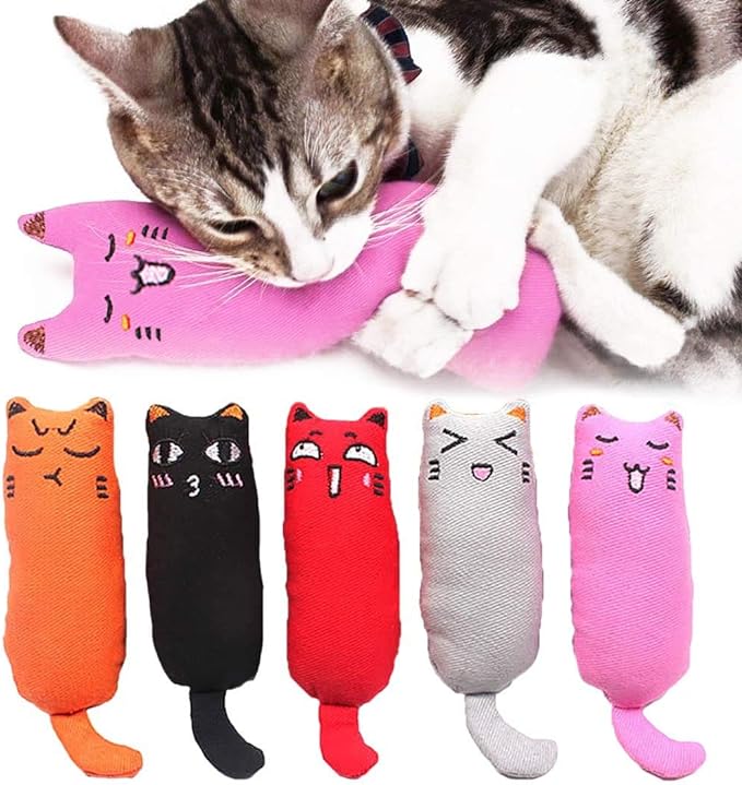 Catnip cat toy